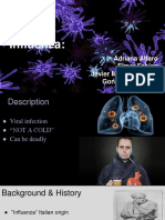 Influenza Powerpoint Aa