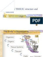 PLANTS TISSUE: Structure and Function