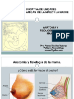 Anatomia y Fisiologia de La Mama