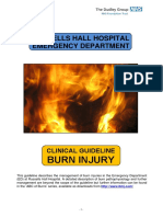 12b. Burns Injury (Russells Hall Hospital, UPDATED Mar 2012)