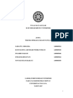 Luksasi Patella Fix PDF