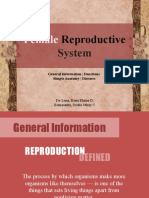 Female Reproductive System