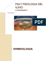 Cristalino PDF