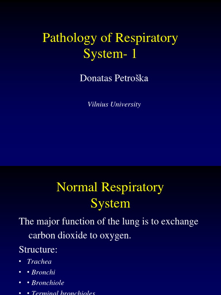 Respiratory System Pathology Overview | PDF | Respiratory Tract | Lung