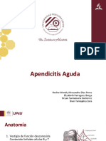 Apendicitis.pptx