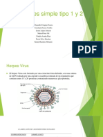 Virus Herpes Simple Tipo 1 y 2 .