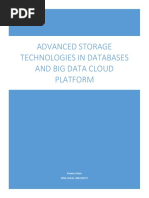 Advanced Storage Technologies in Databases and Big Data Cloud Platform