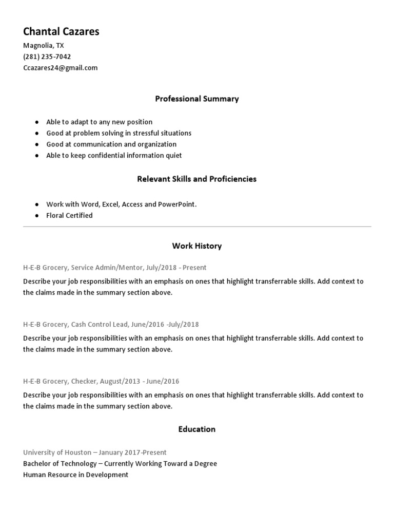 Hybrid Resume Template PDF Hybrid Resume Template PDF