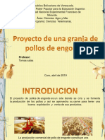 Seminario de Aves. Final de Materia