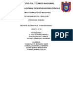 Práctica #6 Regulación de Glucemia