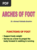 Arches of Foot