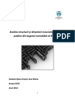 buget analiza financiara.docx