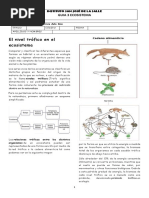 Guia 3 Ecosistema 5°