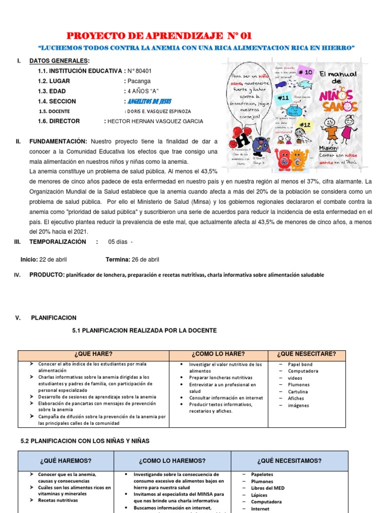 Proyecto Educativo: Combate la Anemia Infantil | PDF | Nutrición ...
