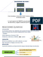 metabolismo de xenobioticos.pptx