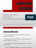 Aula 03 AH PDF