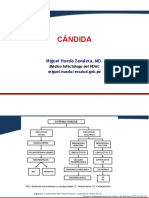 26. Candida, cripto, actino.pdf