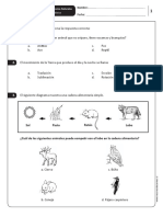 simce_cnat_4basico.pdf