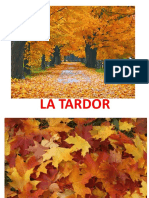 La Tardor P3 (Anna Miravet)