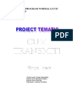 proiect-tematic-cum-transmit (1).doc