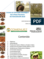 Estudio Estrategico Nuez Pecanera 2018 PDF