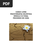 Psicanalise Holistica