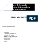 Petrobras - Selos Mecânicos.pdf