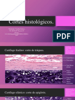 Cortes Histologicos