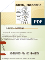 Sistema Endocrino