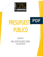 001 Presupuesto Publico PDF