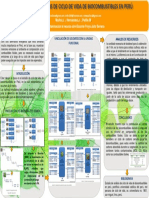 Analisis Ciclo de Vida Biocombustibles Per - Proyecto Lucet