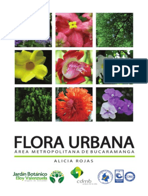 Flora Urbana Alicia Pdf Arboles Hoja