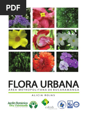 Flora Urbana Alicia Pdf Arboles Hoja