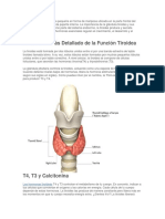 Tiroides y Emociones