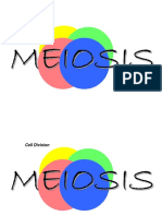 Meiosis 1