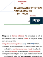 MAPK Pathway Presentation by Dr. Bharat Bhusan Mohapatra