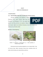 Bab 4 PDF