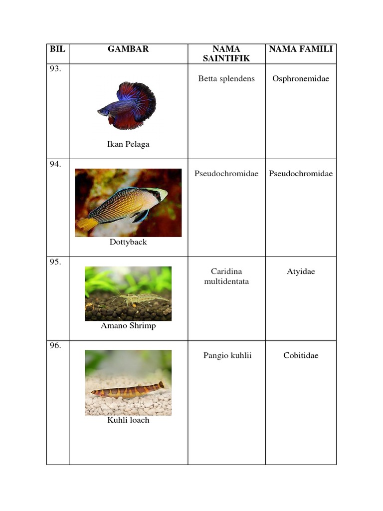 Freshwater and Marine Fish Species List | PDF
