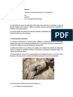 PERFORACIONES Y SONDAJES parte de beto.docx