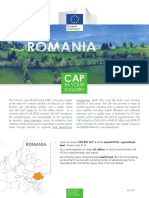 Cap in Your Country Ro - en PDF