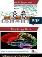 Hypotheses+Testing.