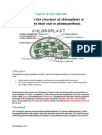 Structure of A Chloroplast