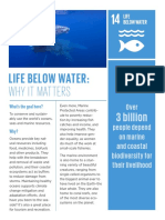 Life Below Water:: Why It Matters