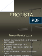 Protista