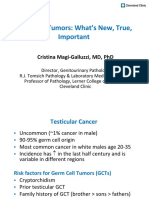 Testicular Tumor