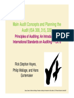 Main Audit Concept [Compatibility Mode].pdf