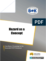 15-Hazard-as-a-concept[1].pdf