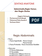 Regio Dorsum Anatomi