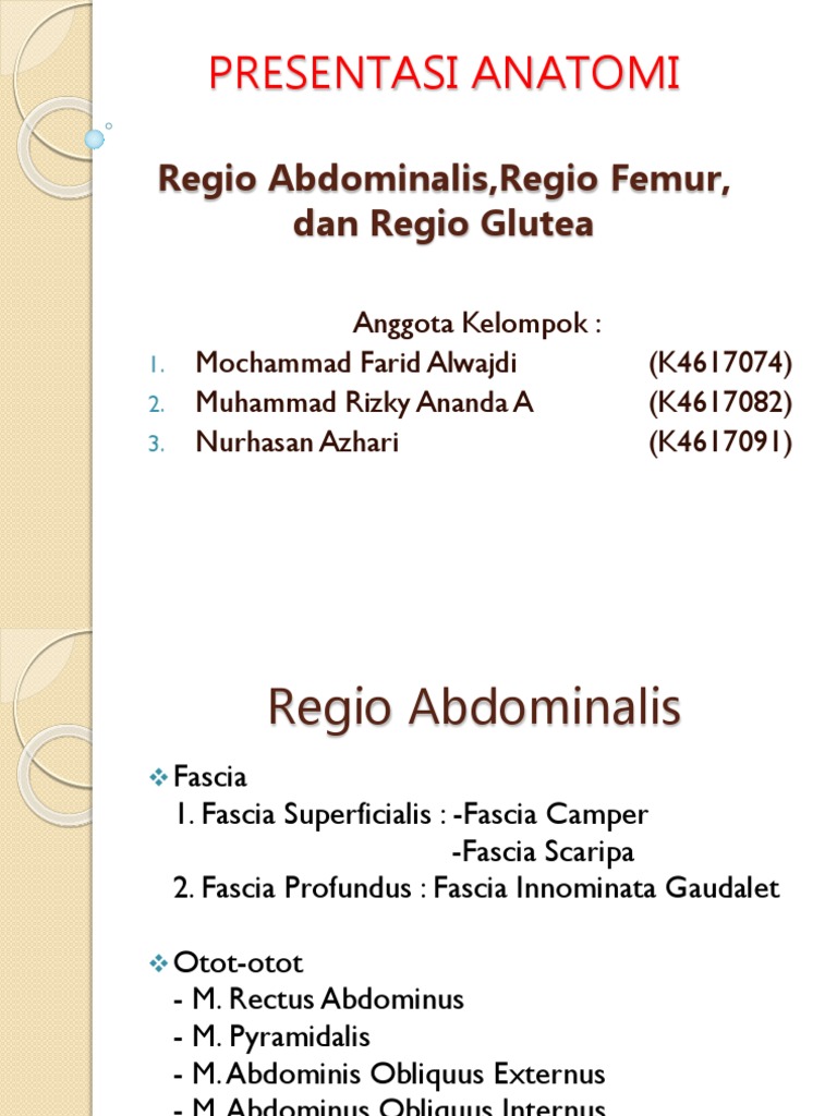 Regio Dorsum Anatomi | PDF