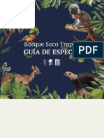 BST Baja PDF